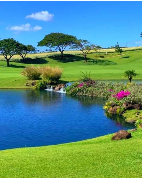 Nature.