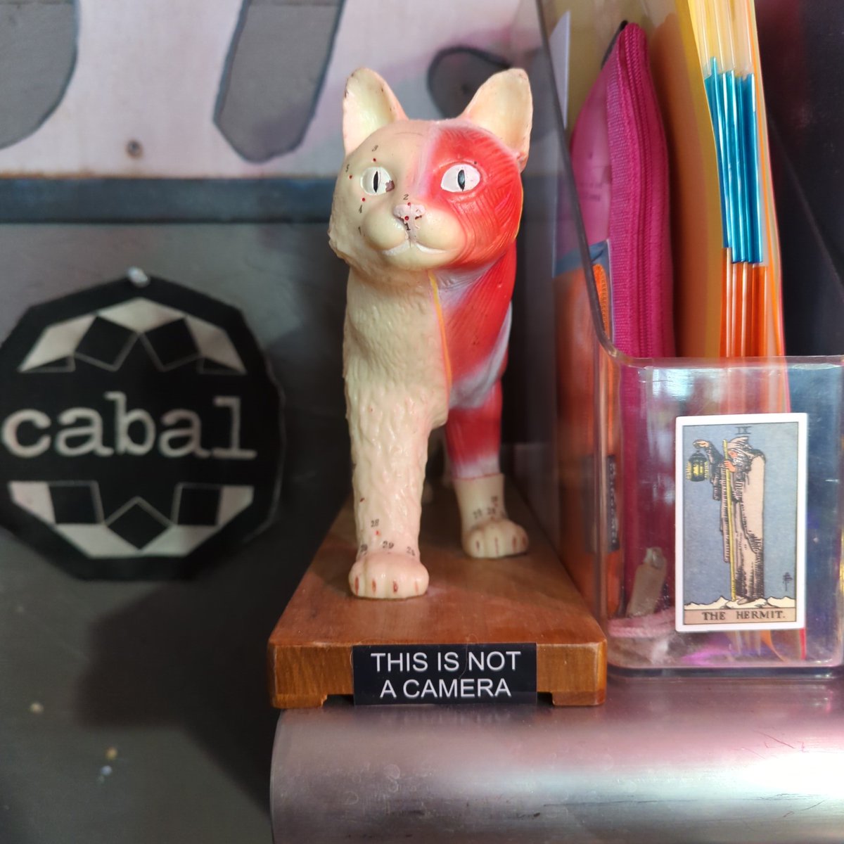 Mar (@mar@defcon.social) tweet media