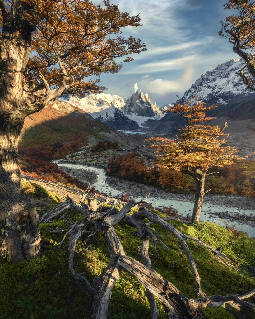 tylekki's tweet photo. Fall colors in Patagonia, Argentina 🇦🇷 https://t.co/YOsRUjJh0h