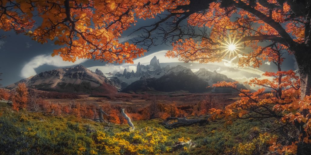 tylekki's tweet photo. Fall colors in Patagonia, Argentina 🇦🇷 https://t.co/YOsRUjJh0h