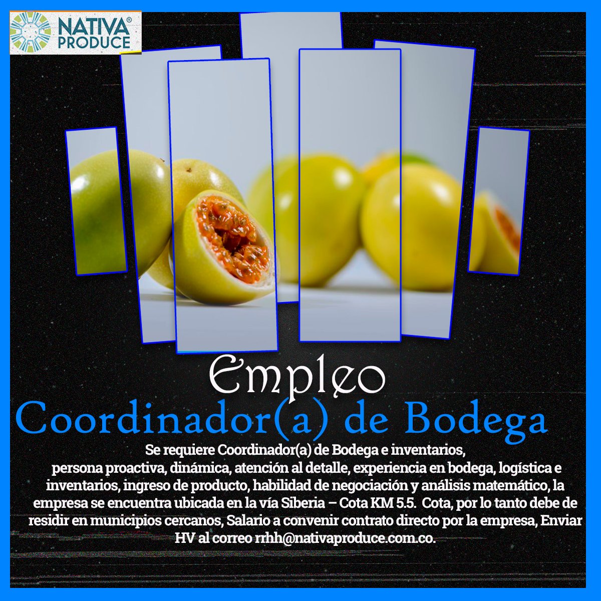 NativaWorldwide's tweet photo. #empleo #CUNDINAMARCA #cota https://t.co/pXLwDDaTwT