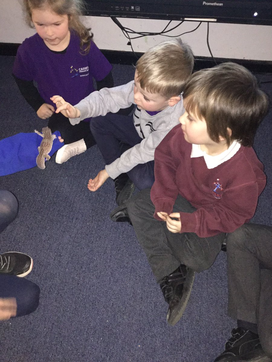 Carrfield Primary tweet media