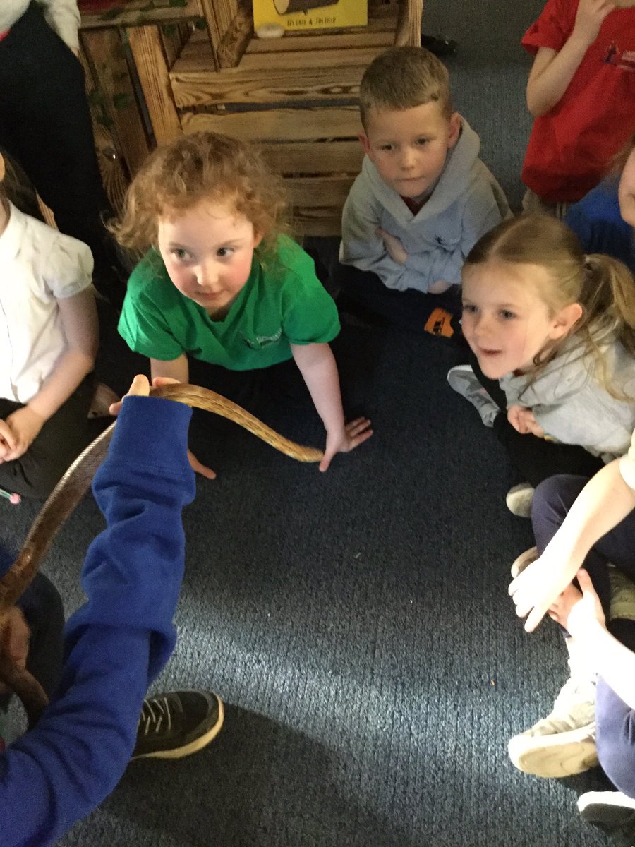 Carrfield Primary tweet media