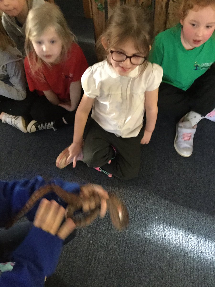 Carrfield Primary tweet media