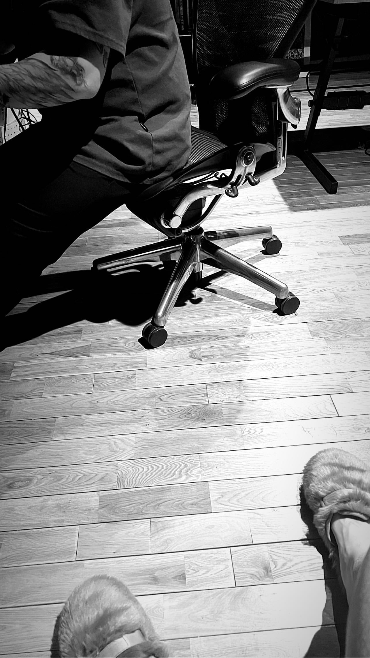 Fm7BKxUaYAQ-fj5?format=jpg&name=4096x409