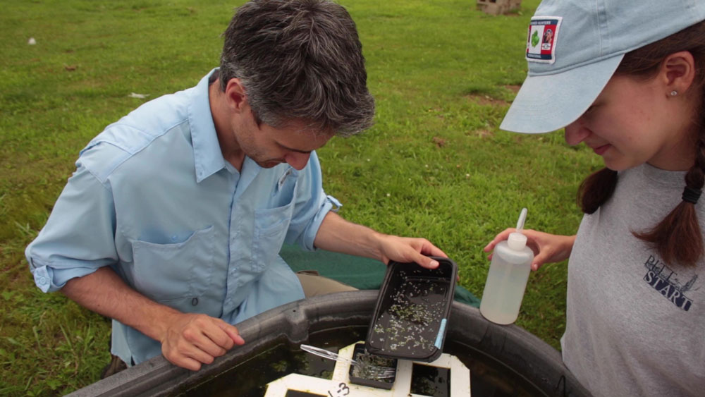 The <a href="/PittPymLab/">Pymatuning Lab of Ecology</a> is accepting applications for Early Career Research Fellowships through 2/24. Please help us spread the word about this field station opportunity to recent PhDs and early career faculty. More info here: ple.pitt.edu/research/fello…