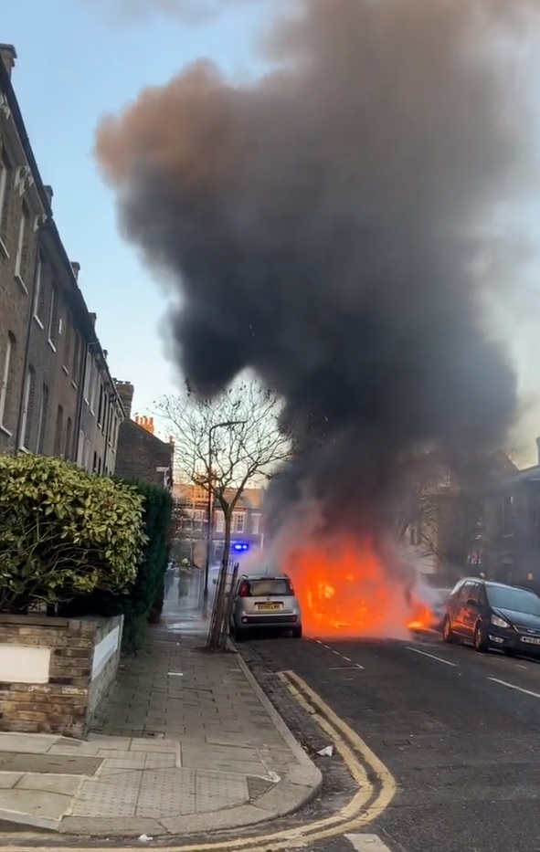 TVA Nouvelles tweet media