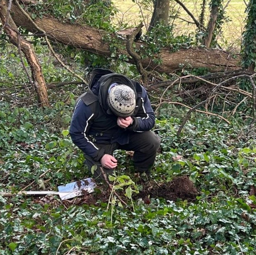 Dan Smith tweet media