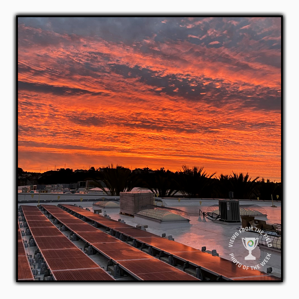 Sustineo_Solar's tweet image. Congratulations to Scott Campbell, sustineo's Views from the Field Photo of the Week winner! PV rooftop project in California. 

#sustineo #KingEnergy #photooftheweek #solar #sunrise