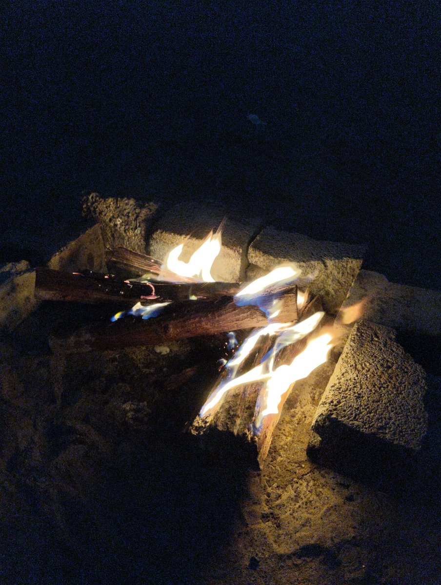 عاشق البر.. (@aa98877022) on Twitter photo 