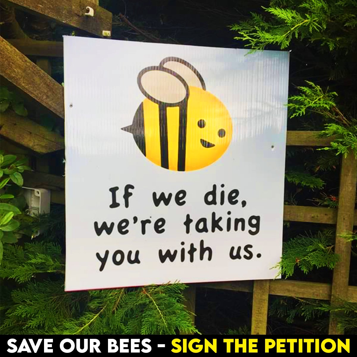 If bees are in trouble, we are all in trouble.

Stop the government giving the green light to bee-killing pesticides: act.gp/3iOlvXc