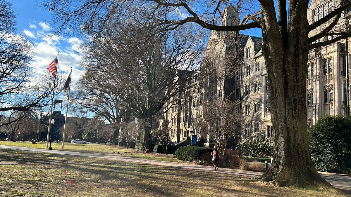 Ana Palacio tweet media