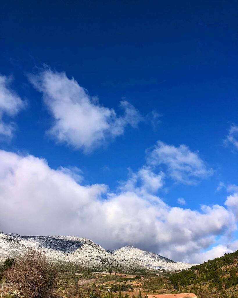 confidv's tweet photo. hiver éphémère ✨ ein klitzekleines Stück vergänglicher Winter und gleichsam so erhaben, echt, stark und einfach wunderschön- großes Glück https://t.co/lzBLpTcc0x https://t.co/W1bcA6iu5u