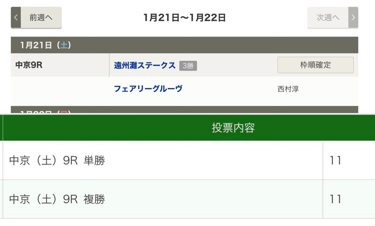 フェアリーグルーヴ
後方のまま14着 