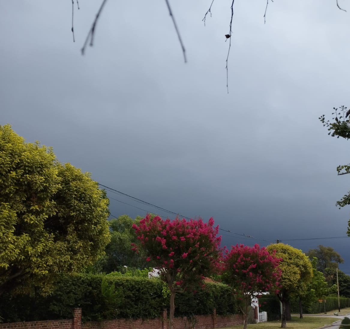 ccomparato1's tweet photo. Tormentón... (climático) en Azul https://t.co/OtB8ZbJQAr