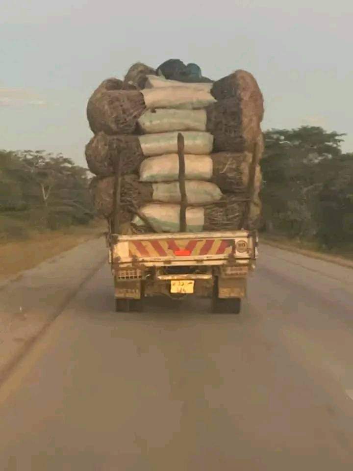 Alliance_AWC's tweet photo. In 2022, Eng. Collins Nzovu, MP, Minister at Ministry of Green Economy and Environment - Zambia indicated Zambia was lossing about 300, 000 hectares of land annually due to deforestation.

#stopcuttingdowntrees
#climatechange
#deforestation
#climateleadership https://t.co/aLLO1oKGhC
