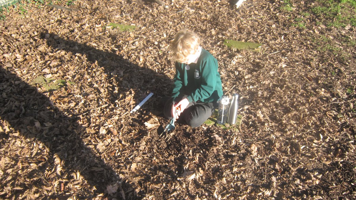 CFS_Falcons's tweet photo. Today, #Year3 spent the afternoon investigating what type of soil we have here at @cheddar_first . After lots of fun in the mud, we spent the rest of the afternoon in our socks! #LearningOutsideTheClassroom #SorryParents ! https://t.co/D8RM4r0OpA