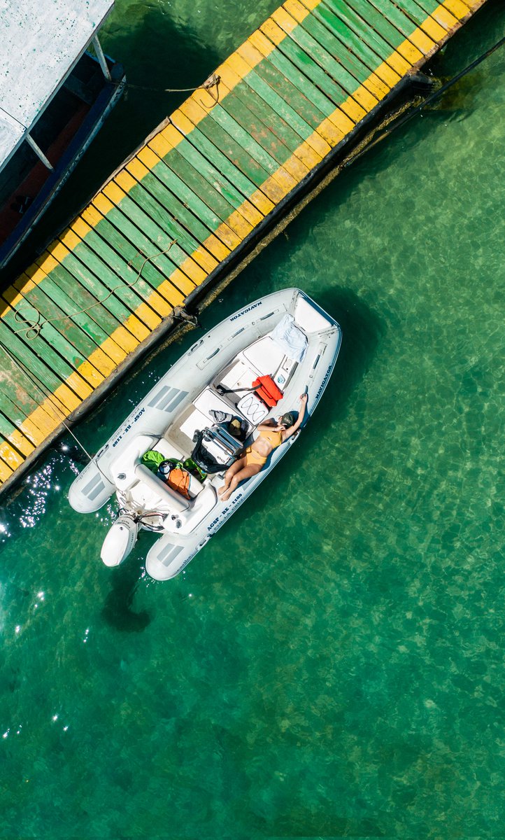 Ayer: Isla de Plata. Wow, Venezuela, wow.