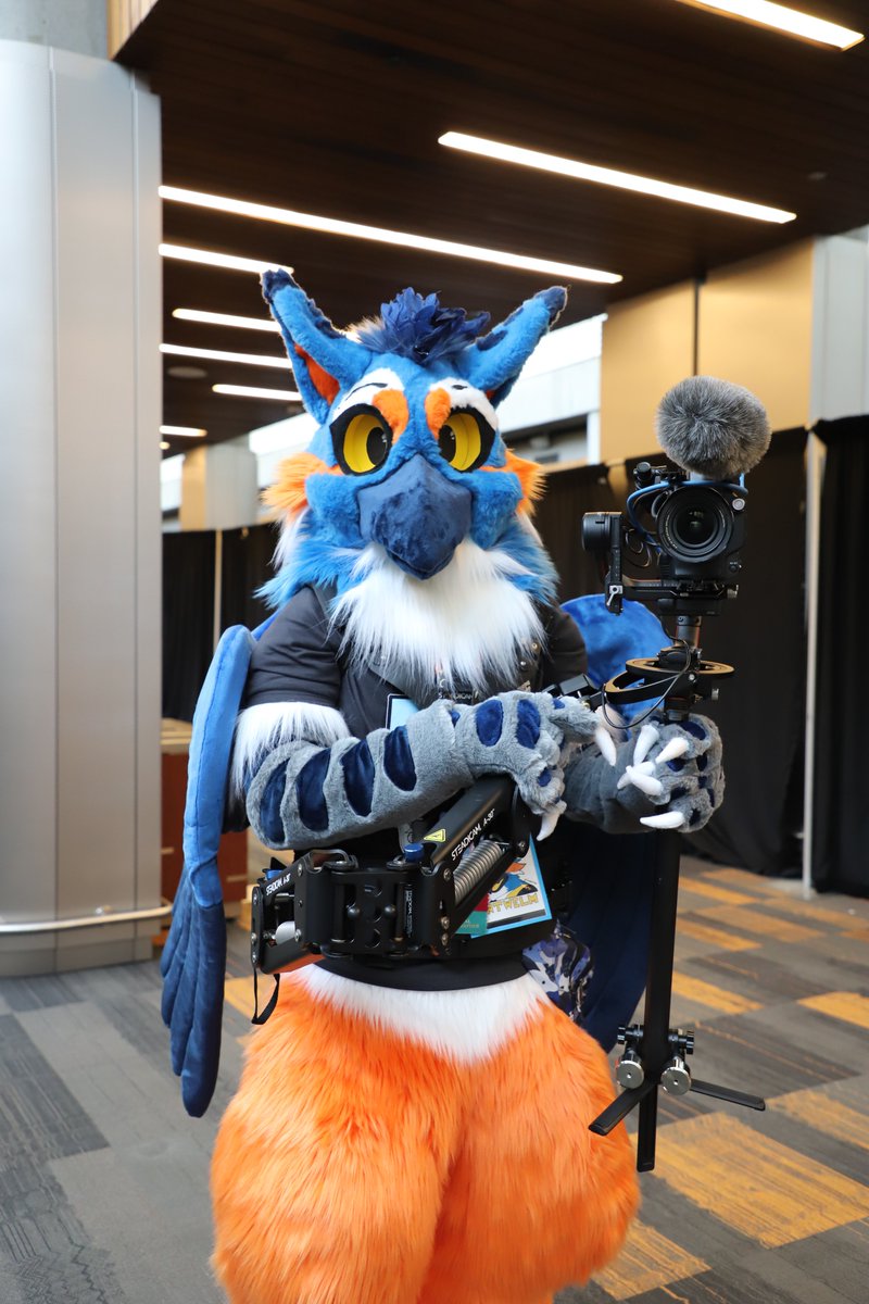 Sometimes the bird watches you... #FC2023 #FursuitFriday 📸@skull_k9 🪡@creative_beasts