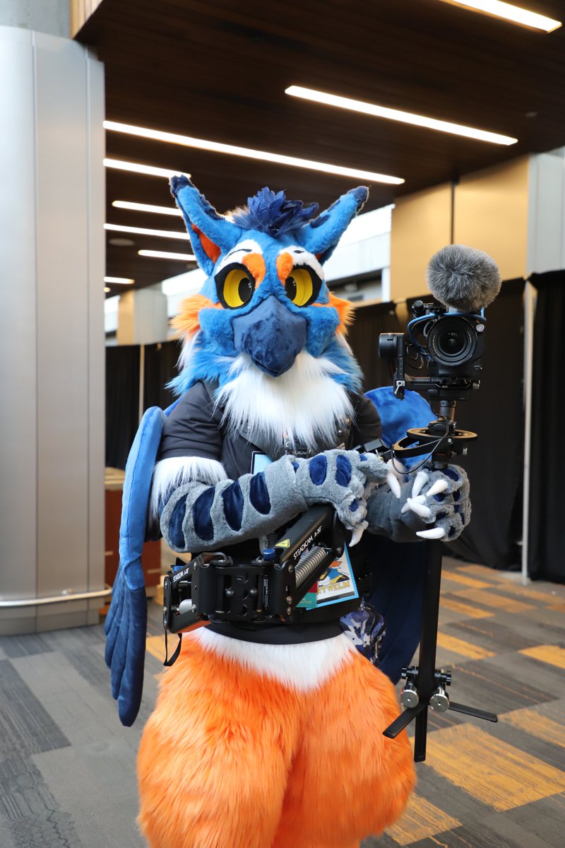 St Antwelm's Assumption (@stantwelm) on Twitter photo Sometimes the bird watches you... #FC2023 #FursuitFriday
📸@skull_k9
🪡<a href="/creative_beasts/">👑Kyah👑 I DONT USE THIS SITE</a> Sometimes the bird watches you... #FC2023 #FursuitFriday
📸@skull_k9
🪡<a href="/creative_beasts/">👑Kyah👑 I DONT USE THIS SITE</a>