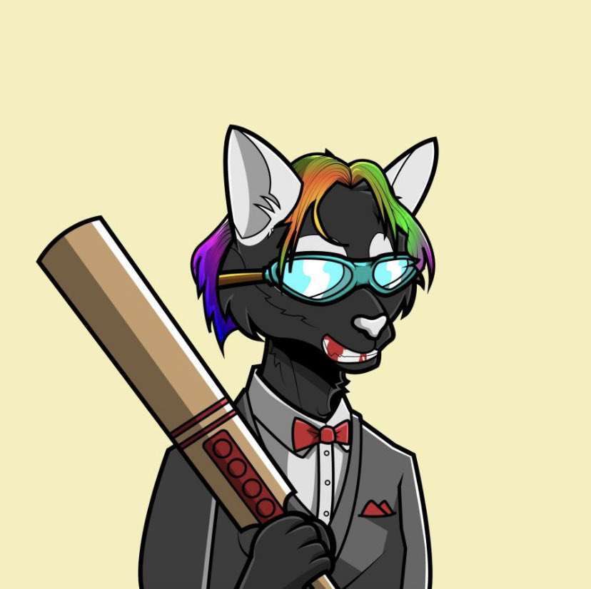 Angry Cats tweet media