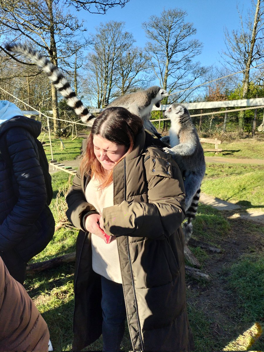 SjbPsy's tweet photo. Many thanks to @ManorWildlife and @Main_MACS for an excellent educational visit and animal behaviour talk with the lemurs for our sixth form pupils today. https://t.co/d7XEUxzZET