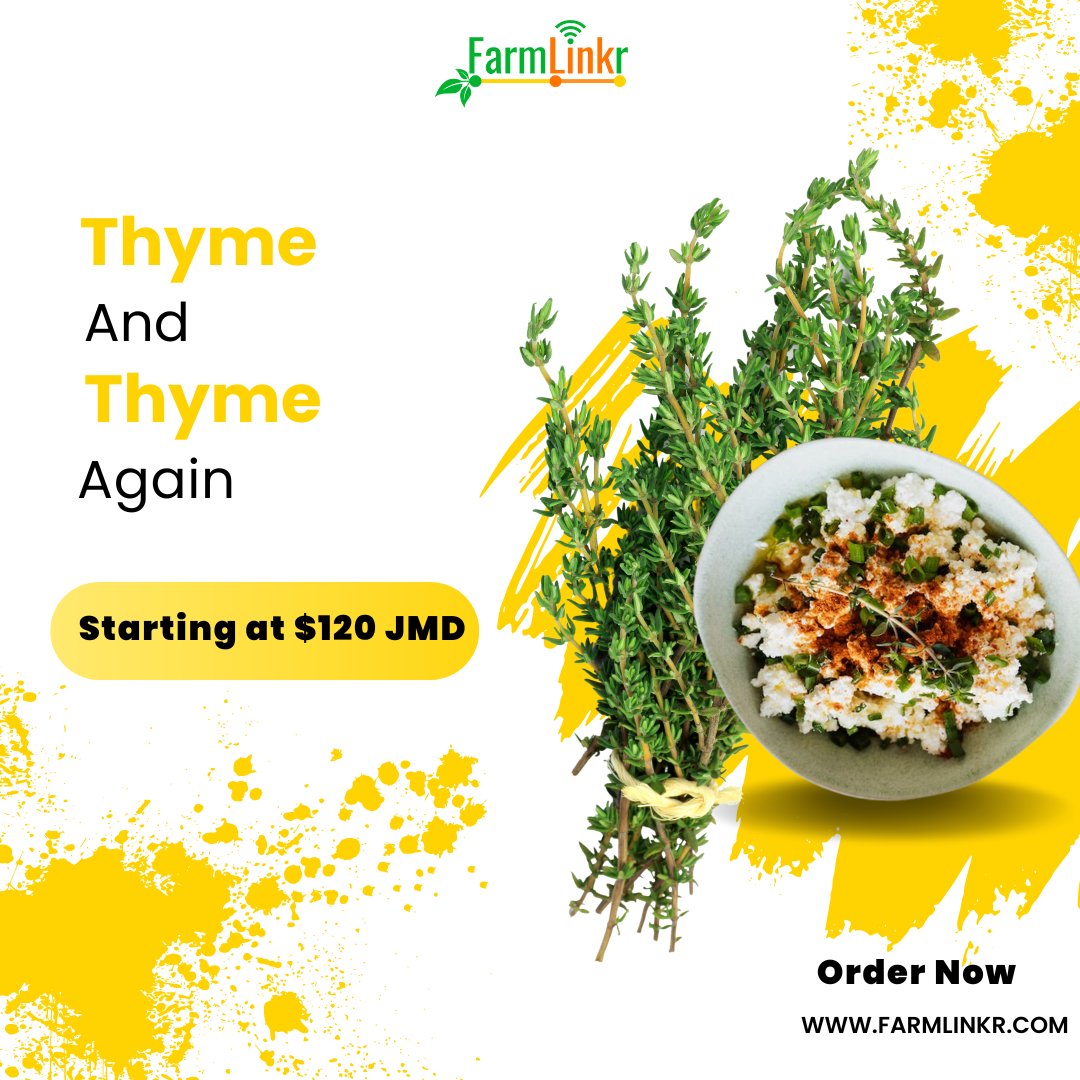 FarmLinkr's tweet photo. Let us supply your home or business with wholesome produce that is sure to nourish your family or your customers! 

Head over to https://t.co/uZo3pYsxNJ and shop for thyme and any other produce that are available to suit your needs! 

#FarmLinkr #linkingyou #tolocalfarmers https://t.co/nr4Rxf34dP