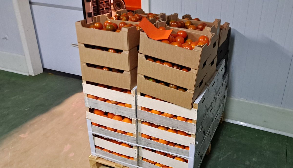 Banco Alimentos Albacete tweet media