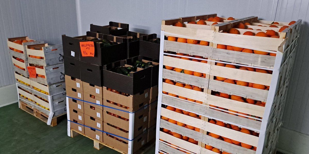 Banco Alimentos Albacete tweet media