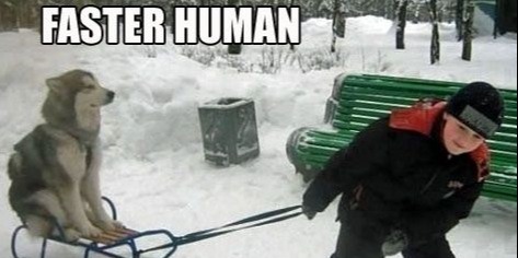 cruisestoalaska's tweet photo. ๐
#FridayFunny #Mush #DogSled #DogSledding #Alaska #CruisesToAlaska https://t.co/yFdRewyLdj