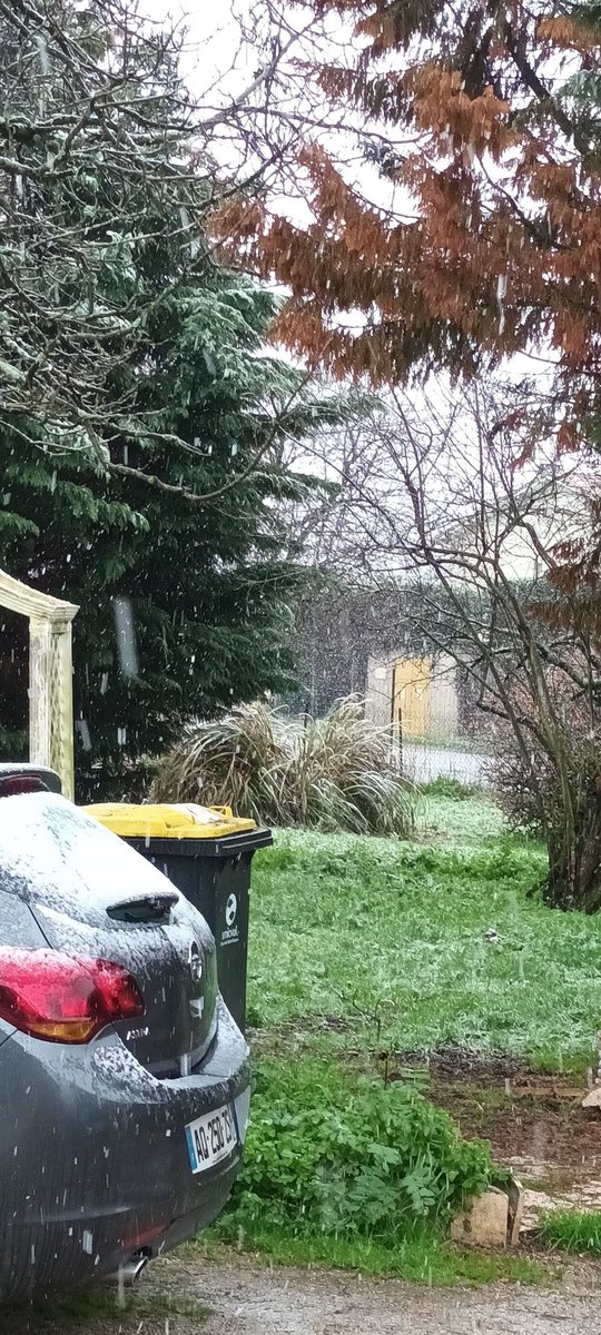 Michel Turckoski (@mturckoski) on Twitter photo 