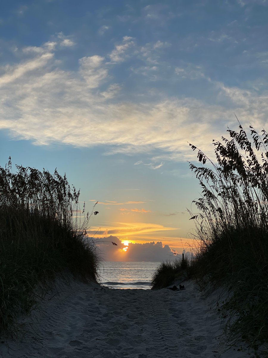 BHIConservancy tweet media