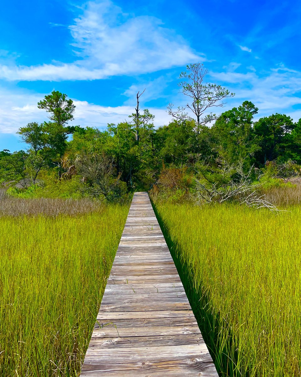 In honor of National Take a Walk Outside Day, here are some of our favorite walk views 🤩 What's your favorite place to walk on #BHI? 

#baldheadisland #walk #beachsunsets #maritimeforest #saltmarsh