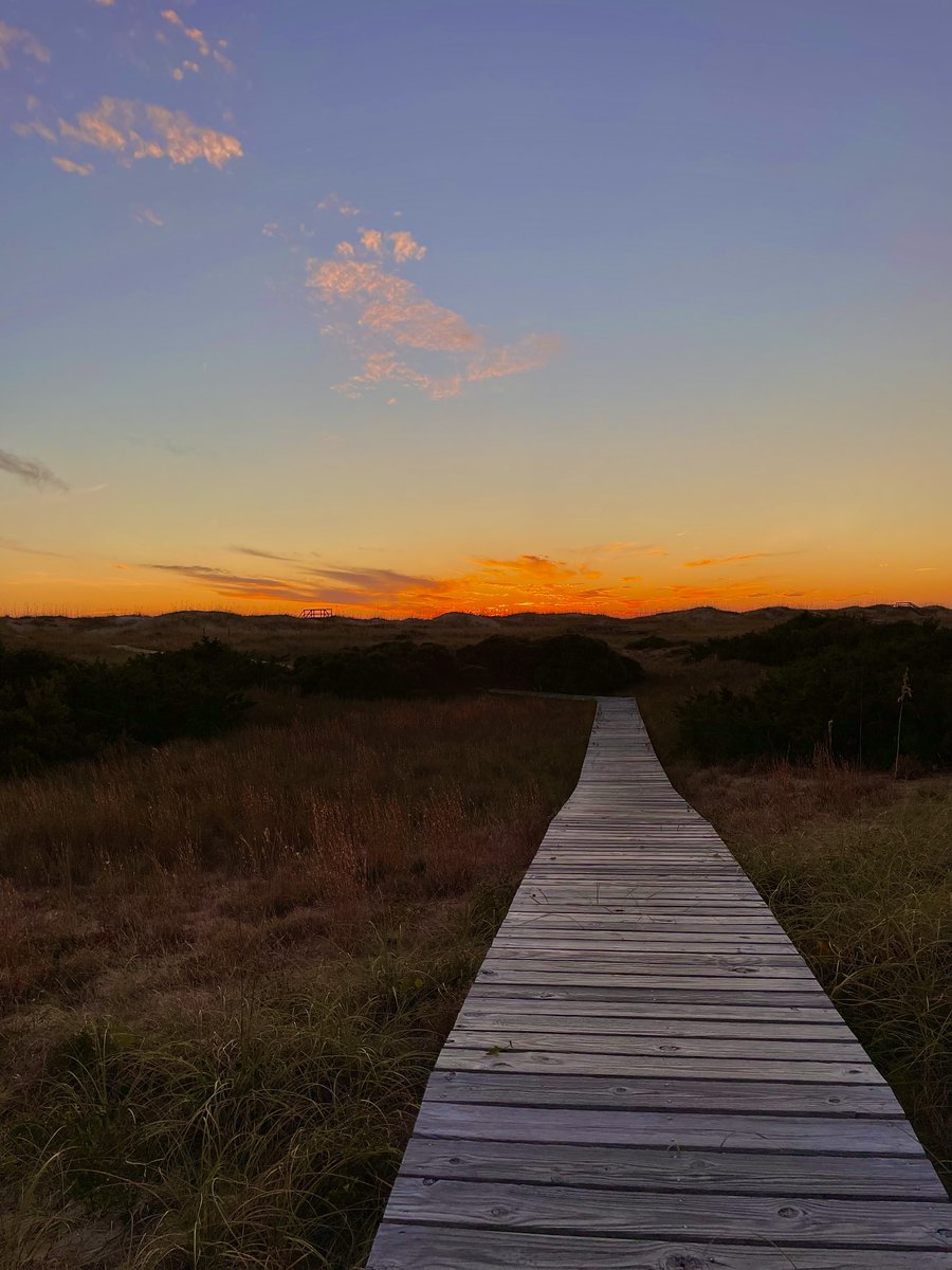 BHIConservancy tweet media