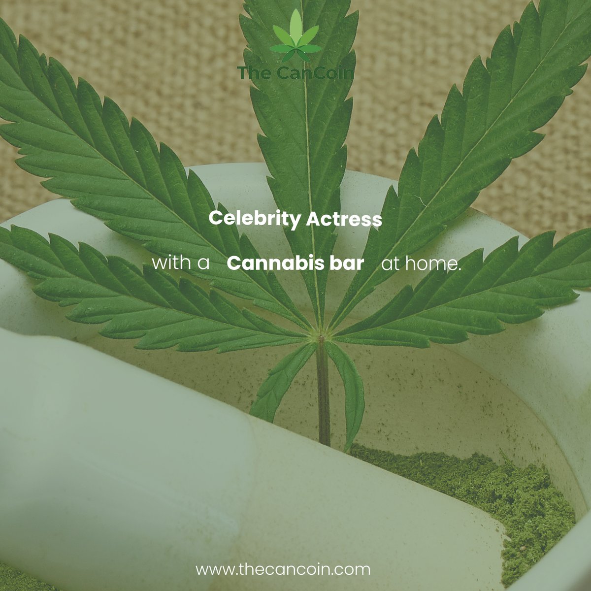 thecancoin's tweet photo. Who here has seen Bella Thorne's dope house in Los Angeles with #cannabis bar? Isn’t it neat to have your own #cannabis bar? 1 thing I am sure of, it is so much fun for the owners and their friends too! 
#thecancoin #cancoin #Canna #Defi #CeFi #metaverse #gamefi #socialfi 1/2 https://t.co/BArpRlpBLS