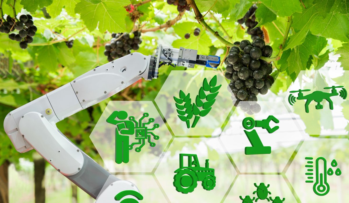 JOIN US ONLINE next Wednesday, Jan. 25 for our Agri-Innovation Research Day. #Niagara #BrockUniversity #agribusiness
Details here:
brocku.ca/niagara-commun…