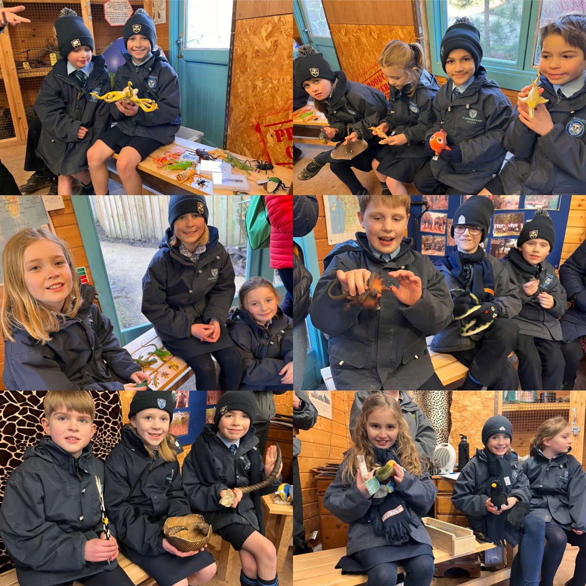 StMargs_Year4's tweet photo. Workshop number two completed and enjoyed @StMargaretsPrep. We are now all experts on animal types and classification! #StMargsScience #WildPlace https://t.co/NRbxSlJVqZ