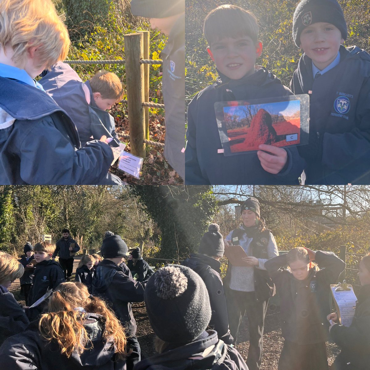 StMargs_Year4's tweet photo. Workshop number two completed and enjoyed @StMargaretsPrep. We are now all experts on animal types and classification! #StMargsScience #WildPlace https://t.co/NRbxSlJVqZ