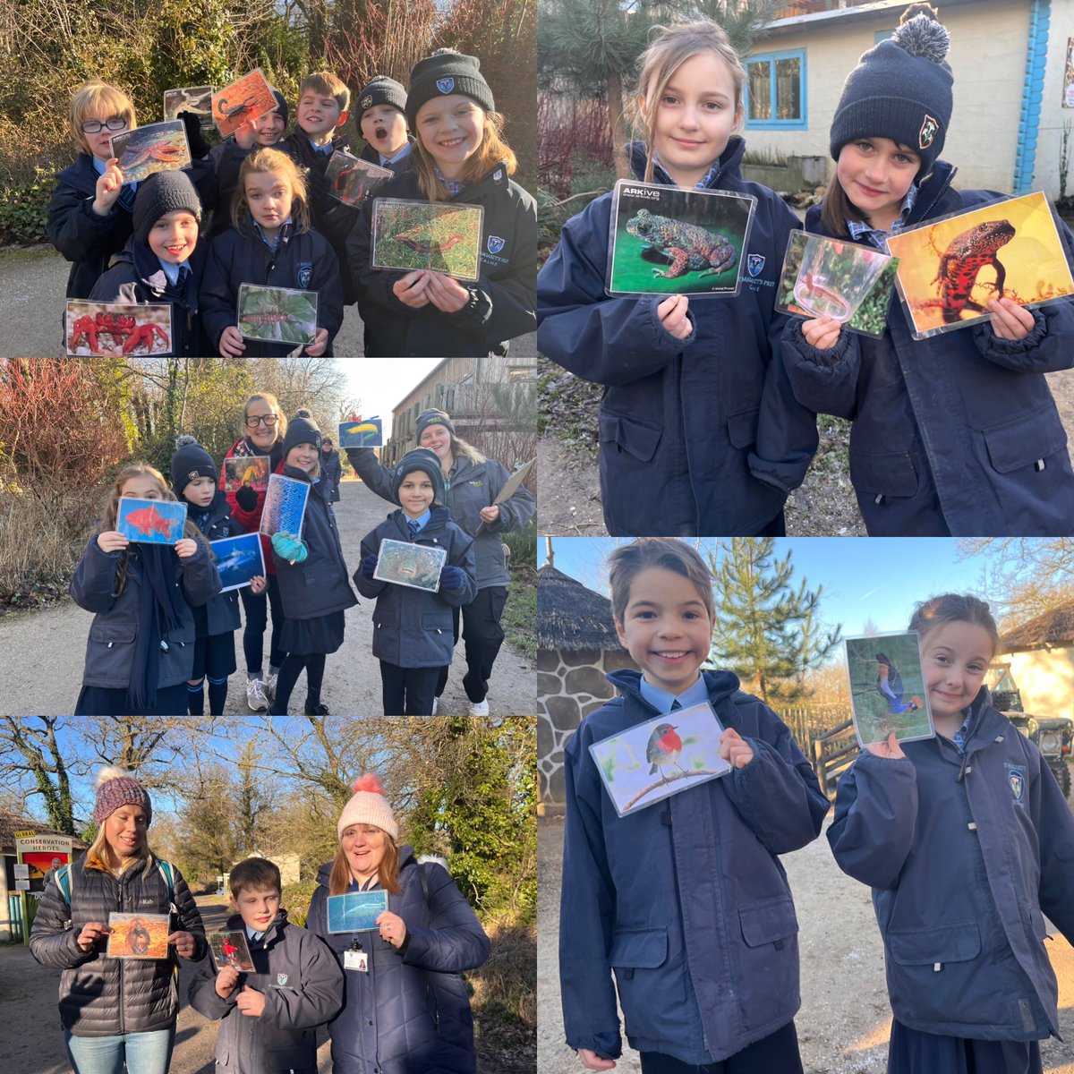 StMargs_Year4's tweet photo. Workshop number two completed and enjoyed @StMargaretsPrep. We are now all experts on animal types and classification! #StMargsScience #WildPlace https://t.co/NRbxSlJVqZ