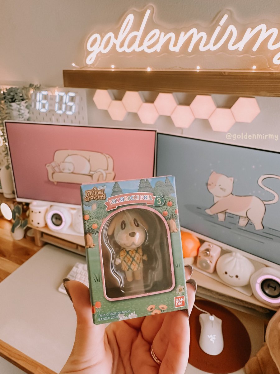 goldenmirmy's tweet photo. my sister got me these little animal crossing dolls &amp; they are sooo cute 🥹🤍 https://t.co/Z5ub3t7TQB
