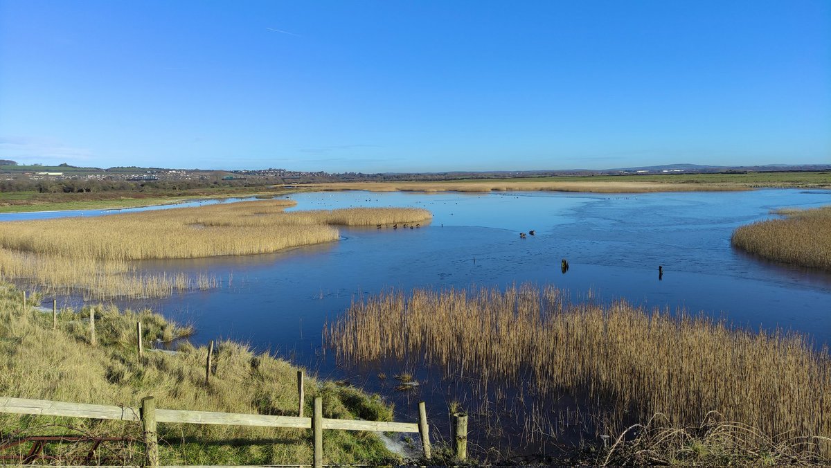 Joe_Slade500's tweet photo. Great day at #Farlington #marshes yesterday! Beautiful site - Marsh harrier was a real highlight #Hampshire #birdwatching https://t.co/qo5Q9wk8vf