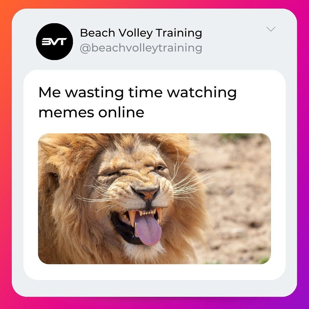 BVT_BeachVolley's tweet photo. Come sono quando guardo i #meme online 😍
#beachvolley | #beach | #bvt | #social | #instagram | #memes https://t.co/nsGUDswoJe https://t.co/ppIt31Bnsn