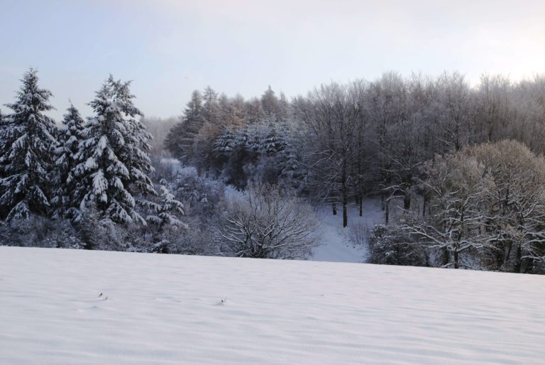KentDownsNL's tweet photo. #TrackDown across dewy-frosty grass as it glistens in the winter morning sun. ❄️
The Kent Downs AONB offers year-round beauty so lace up your boots and explore the scenic wonder.🥾🍃⛰️ https://t.co/vkeDtHEcor