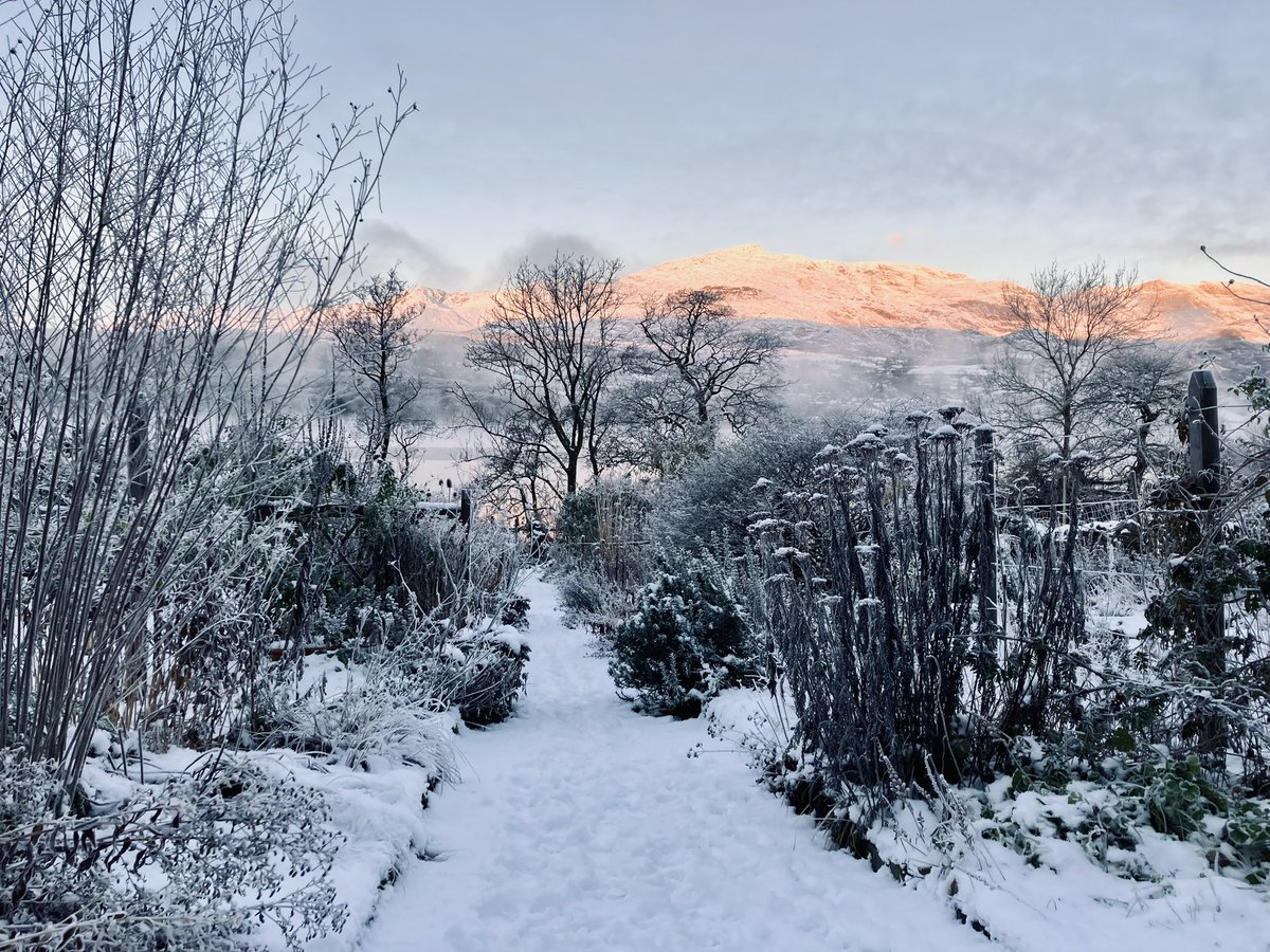 Seedheads, snow &amp; all that. Y’know. Also, last chance to apply for this job: brantwood.org.uk/jobs/

#brantwood #gardener #jobs #cumbria #lakedistrict #coniston #ruskin #plants