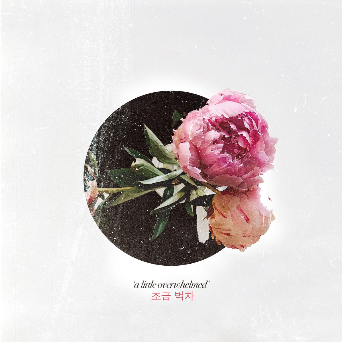 baby number 4 is here!!!lit’s okay to be sad even though nobody talks abt it on social media!! life is hard and I literally don’t know what I’m doing half the time but that’s okay ☺️ stream ‘a little overwhelmed’ on all platforms now!! #newmusic #alittleoverwhelmed #sadgirlsongs