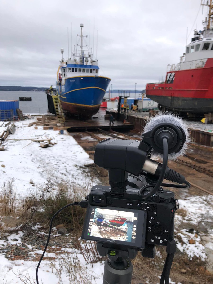 WalshProduction's tweet photo. Last Friday’s office was dockside in Clarenville. Nine hours cold, wet hard work by more than a dozen workers to get this beauty out of the water. A fascinating day for a great documentary in the works. https://t.co/YCAmD1DJiJ