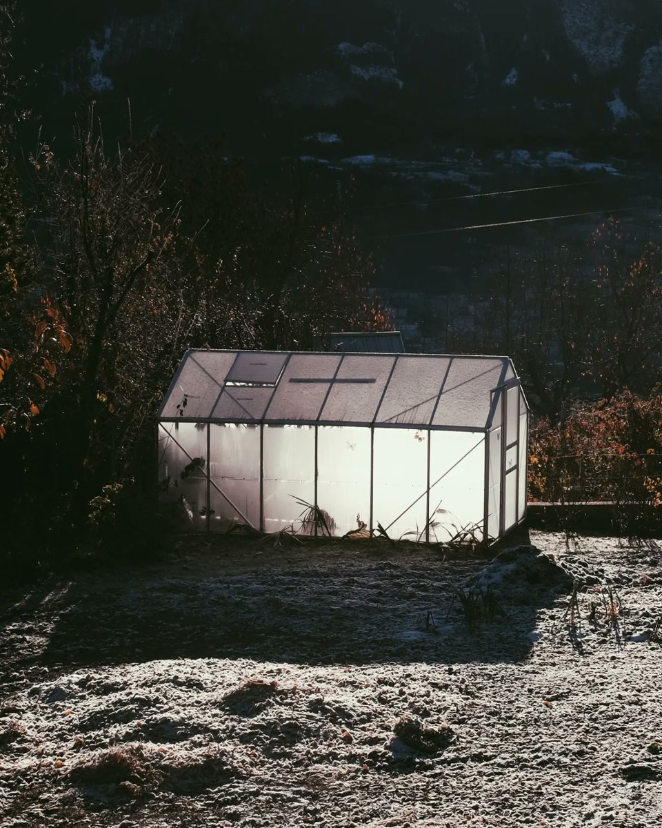 🌱 Ameena 🌜 tweet media