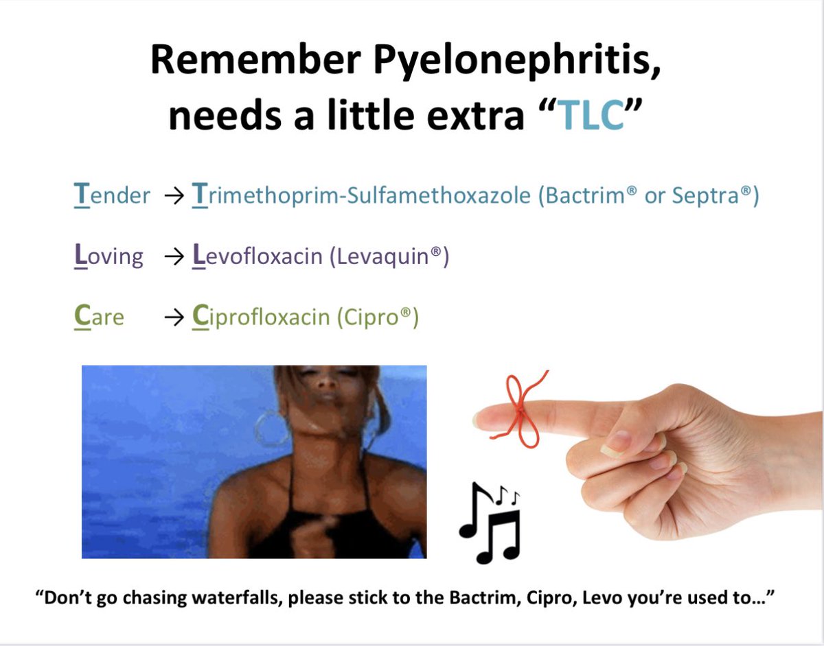 julie_justo's tweet photo. Remember pyelonephritis needs a little extra “TLC.”

Sang this tune in class this week with @UofSCPharm P2s when lecturing on UTIs…😎

🎶 Don’t go chasing waterfalls, please stick to the Bactrim, Cipro, Levo you’re used to… 🎶 

#IDTwitter #TwitteRx #MedEd #PharmEd https://t.co/oLS2lbGSw0