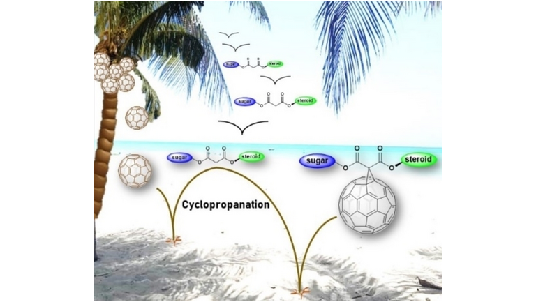 Synthesis of [60]Fullerene Hybrids Endowed with Steroids and Monosaccharides: Theoretical Underpinning as Promising anti-SARS-CoV-2 Agents by Margarita Suarez, Nazario Martin, and co-workers (<a href="/nazariolab/">Nazario Martín Group</a> <a href="/unicomplutense/">Complutense</a> <a href="/UdeLaHabana/">Universidad de La Habana</a>) #OpenAccess onlinelibrary.wiley.com/doi/10.1002/ej…