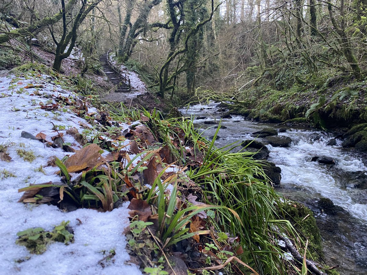 CallaghanPaul's tweet photo. @RomanticCastles @cabracastle Winter Wonderland Dรบn A Rรญ Forest Park just a few minutes drive from #cabracsstle Such a beautiful place to visit and stroll around in the winter sunshine #discoverpaulcallaghanphotography #dunari #kingscourt #forestpark https://t.co/MNg0lhhm3g